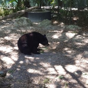 Meet your Posher, Dmitriy